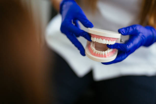 Trusted Malaga, NJ Dental Services Experts